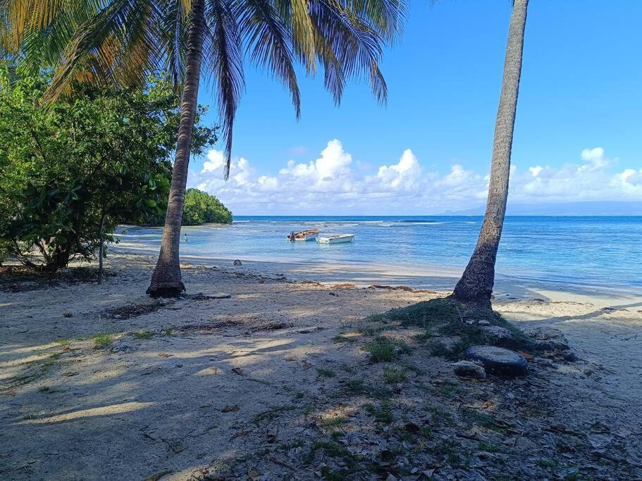 T1 Bis A Proximite De La Plage Le Gosier  Exterior foto